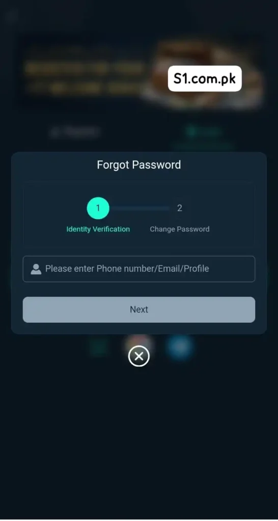 password reset interface of S1